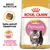 ROYAL CANIN KITTEN Persian macskaeledel csomagolás, testre szabott tápszemcse képe, szöveg: Egészséges növekedés és hosszú szőr ROYAL CANIN KITTEN Persian macskaeledel csomagolás, testre szabott tápszemcse képe, szöveg: Egészséges növekedés és hosszú szőr