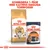 Royal Canin Norwegian Forest Cat torrfoder och Royal Canin Intense Beauty våtfoder 85 g. Text: Kombinera 1 påse med kattens dagliga torrfoder.