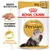 Royal Canin Adult Persian våtfoder 85 g x12, anpassad konsistens, specifikt för lång päls. Bild på perserkatt och foderbitar. Synlig text: Breed Nutrition, Anpassad konsistens.