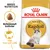 ROYAL CANIN ADULT Ragdoll torrfoder, bild på katt, text: Skräddarsytt torrfoder, Frisk hud och päls, BREED NUTRITION. Förpackning i vitt och gult.