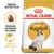Royal Canin Adult Ragdoll, granula vyrobená na mieru, zdravá srsť a koža. Balenie krmiva s obrázkom mačky ragdoll a textom Breed Nutrition.