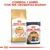 ROYAL CANIN Sphynx Adult pienso para gatos y sobre ROYAL CANIN Intense Beauty Care en salsa 85 g. Texto: Combina 1 sobre con sus croquetas diarias.