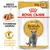 Royal Canin Adult British Shorthair, 85 g x12. Consistenza adattata, contenuto energetico moderato. Immagine di crocchette e gatto British Shorthair grigio.