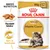 Royal Canin Maine Coon Adult i saus Royal Canin Maine Coon Adult i saus
