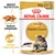 Royal Canin Adult Maine Coon, 85 g x12. Textos visíveis: Breed Nutrition, Textura adaptada, Saúde osteoarticular. Imagem de comida húmida e gato Maine Coon na embalagem.