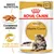Royal Canin Adult Maine Coon 85 g x12, consistenza adattata, salute di ossa e articolazioni, immagine di gatto Maine Coon su confezione. Testo in inglese: Breed Nutrition. Royal Canin Adult Maine Coon 85 g x12, consistenza adattata, salute di ossa e articolazioni, immagine di gatto Maine Coon su confezione. Testo in inglese: Breed Nutrition.