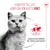 Royal Canin Light Weight Care AirLift Mousse