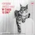 Royal Canin Digestive Care AirLift Mousse
