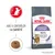 Royal Canin Appetite Control, aide à contrôler la satiété, 90% of owners reported controlled begging in 4 weeks, croquette en forme d’anneau, texte en anglais et français visible sur l’emballage.