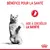 BÉNÉFICE POUR LA SANTÉ. AIDE À CONTRÔLER LA SATIÉTÉ. Illustration d’un chat debout, logo Royal Canin en bas à droite.