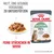 Royal Canin Digestive, feine Stückchen in Sosse. Hilft, eine gesunde Verdauung zu unterstützen. 95% healthy stool quality in 10 days. Nach einer internen Studie von Royal Canin. Royal Canin Digestive, feine Stückchen in Sosse. Hilft, eine gesunde Verdauung zu unterstützen. 95% healthy stool quality in 10 days. Nach einer internen Studie von Royal Canin.