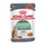 Royal Canin Digestive Care în sos  - 12 x 85 g