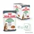 ROYAL CANIN Digestive macskaeledel, 12 x 85 g tasak. Csomagoláson: 95% healthy stool quality in 10 days*. Macskás illusztráció és tál eledellel látható.
