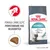 ROYAL CANIN Hairball, pomaga zmniejszyć powstawanie kul włosowych, redukcja w 14 dni. Widoczny kształt granulki i kot. Tekst: Reduces hairball formation in 14 days. ROYAL CANIN Hairball, pomaga zmniejszyć powstawanie kul włosowych, redukcja w 14 dni. Widoczny kształt granulki i kot. Tekst: Reduces hairball formation in 14 days.