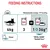 Feeding guide for 4kg cat: 3 Royal Canin pouches or 1 pouch plus 36g dry food per day. Metabolisable energy: 779 kcal/kg. Water recommended. For Royal Canin Hairball Care.