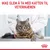 Royal Canin Hair & Skin Care