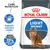 Royal Canin Light Weight per gatti, apporto calorico ridotto, risultati provati: -17% apporto calorico ridotto, immagine di un gatto sul fronte della confezione.