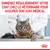 EMMENEZ RÉGULIÈREMENT VOTRE CHAT CHEZ LE VÉTÉRINAIRE POUR ASSURER SON SUIVI MÉDICAL