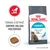 ROYAL CANIN URINARY karma dla kotów, napis: pomaga utrzymać zdrowie układu moczowego, widoczny granulat i kot. Tekst po angielsku: supports a healthy urinary tract in 10 days. ROYAL CANIN URINARY karma dla kotów, napis: pomaga utrzymać zdrowie układu moczowego, widoczny granulat i kot. Tekst po angielsku: supports a healthy urinary tract in 10 days.