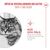 Royal Canin Ageing 11+