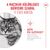 Royal Canin Ageing 11+ aszpikban
