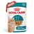 Royal Canin Ageing 11+ w galarecie Royal Canin Ageing 11+ w galarecie