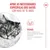 Royal Canin Ageing 15+