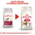 Porovnání starého a nového balení krmiva Royal Canin FIT 32 pro dospělé kočky, nápis: Nový vzhled, vylepšená receptura.