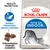 ROYAL CANIN Home Life INDOOR 27, redukcja intensywności zapachu odchodów, odpowiednia wielkość krokietów, ilustracja kota i karmy na opakowaniu. ROYAL CANIN Home Life INDOOR 27, redukcja intensywności zapachu odchodów, odpowiednia wielkość krokietów, ilustracja kota i karmy na opakowaniu.
