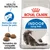 Royal Canin Indoor Long Hair, redução das bolas de pelo, tamanho do croquete adaptado. Embalagem com imagem de gato de pelo comprido e croquetes visíveis.