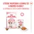 Royal Canin Kitten aszpikban