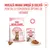 Royal Canin Kitten Sterilised 6 până la 12 luni hrană uscată și hrană umedă, recomandare de combinare pentru o experiență optimă de hrănire. Royal Canin Kitten Sterilised 6 până la 12 luni hrană uscată și hrană umedă, recomandare de combinare pentru o experiență optimă de hrănire.