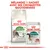Mélangez 1 sachet avec ses croquettes quotidiennes. Paquet Royal Canin Active Life Outdoor 7+ et sachet Royal Canin Instinctive 7+ 85 g pour chats visibles.