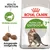Royal Canin Active Life Outdoor 7+ kattenvoer, afbeelding van kat, tekst: Vitaliteitscomplex, Health Nutrition, Aangepaste brokgrootte, verpakking met brokjes zichtbaar.