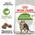 ROYAL CANIN Active Life Outdoor 7+, Komplex pro zvýšení vitality, Přizpůsobená velikost granulí, obrázek kočky a tři granule na obalu.