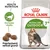 ROYAL CANIN Active Life Outdoor 7+, balenie s obrázkom mačky, texty: Health Nutrition, Komplex vitality, Prispôsobená veľkosť granúl, zobrazené granule. ROYAL CANIN Active Life Outdoor 7+, balenie s obrázkom mačky, texty: Health Nutrition, Komplex vitality, Prispôsobená veľkosť granúl, zobrazené granule.