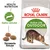 ROYAL CANIN Active Life OUTDOOR kattemad, tekst: Health Nutrition, Støtter aktivitet, Tilpassede fôrkuler. Billede af kat og tre foderpiller på posen.