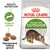 ROYAL CANIN Active Life OUTDOOR, Podpora aktivity, Přizpůsobená velikost granulí, obrázek kočky a tři granule na obalu.