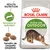ROYAL CANIN Active Life OUTDOOR. Health Nutrition. Favorece la actividad. Tamaño de croqueta adaptado. Imagen de croquetas y un gato en el envase.