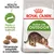 Pachet Royal Canin Active Life Outdoor, imagine cu pisică, text: Health Nutrition, Pentru o activitate susținută, Dimensiune adaptată a crochetelor. Trei crochete vizibile. Pachet Royal Canin Active Life Outdoor, imagine cu pisică, text: Health Nutrition, Pentru o activitate susținută, Dimensiune adaptată a crochetelor. Trei crochete vizibile.