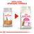Royal Canin Exigent cat food packaging change: old pack on left, new pack on right with 'PROTEIN Exigent' and pink label. Text above: NEW LOOK, UPGRADED FORMULA.