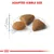 Image showing adapted kibble size with three pieces of dry food and a 1cm scale for reference.