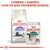 ROYAL CANIN Regular Sterilised 7+ ração seca para gatos e ROYAL CANIN Instinctive 7+ saqueta de comida húmida. Texto: Combine 1 saqueta com os seus croquetes diários.