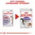 Royal Canin Sterilised i saus