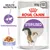 Royal Canin Sterilised kattenvoer, 85g x12, gewichtsbeheersing, Health Nutrition, gelei. Afbeelding van een kat en portie natvoer in gelei zichtbaar op de verpakking. Royal Canin Sterilised kattenvoer, 85g x12, gewichtsbeheersing, Health Nutrition, gelei. Afbeelding van een kat en portie natvoer in gelei zichtbaar op de verpakking.
