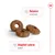 Kibble shown with highlighted features: balance of nutrients and adapted calorie content.