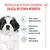 Royal Canin Giant Puppy Royal Canin Giant Puppy