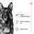 Illustration med tekst: Støtter fordøjelsessystemet, Støtter knogler og led, Optimal støtte. Tre ikoner viser hund med mave, led og hjerte.