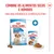 Royal Canin Medium Puppy em molho