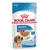 Royal Canin Medium Puppy szószban Royal Canin Medium Puppy szószban